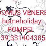 Domus Venere